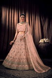 Peach Net Lehenga Choli with Dupatta - Embroidery Work