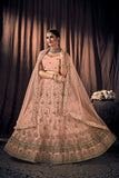 Peach Net Lehenga Choli with Dupatta - Embroidery Work