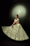 Pista Butterfly Net Lehenga Choli with Dupatta - Embroidery with Thread Work