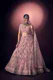 Light Pink Net Lehenga Choli with Dupatta - Embroidery with Thread Work