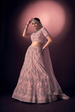 Light Pink Net Lehenga Choli with Dupatta - Embroidery with Thread Work