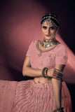 Light Pink Sequence & Thread Work Butterfly Net Lehenga Choli with Dupatta | 5026